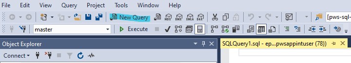 Ssms_newquery.jpg